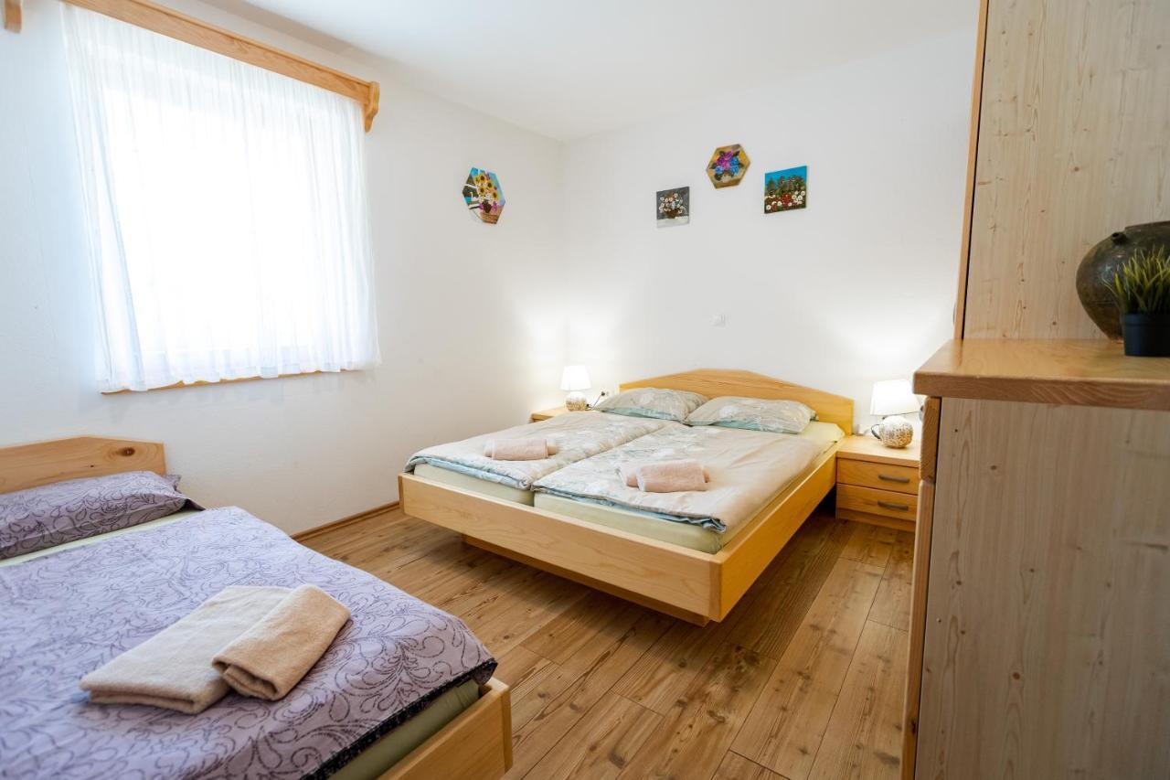 Lahinja & Kolpa River Apartments Metlika Exterior photo
